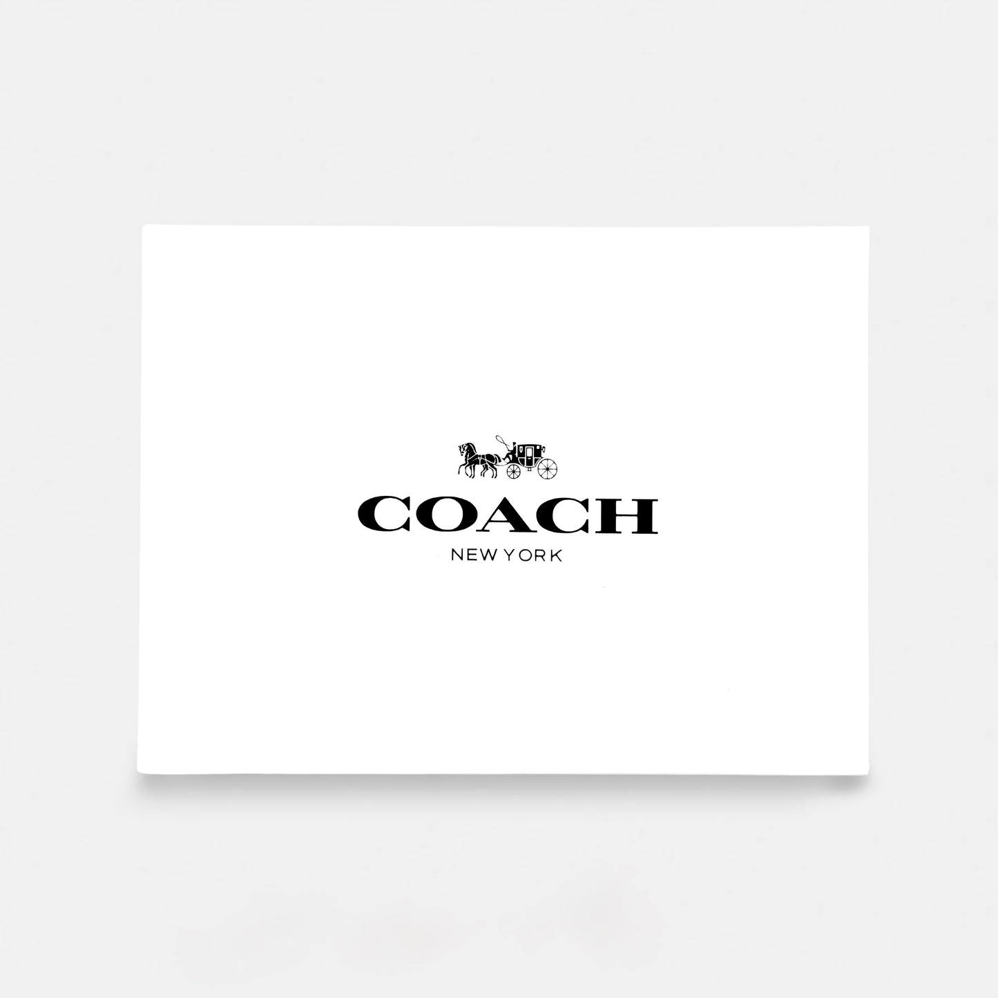 Coach-inspired bag (S&S)