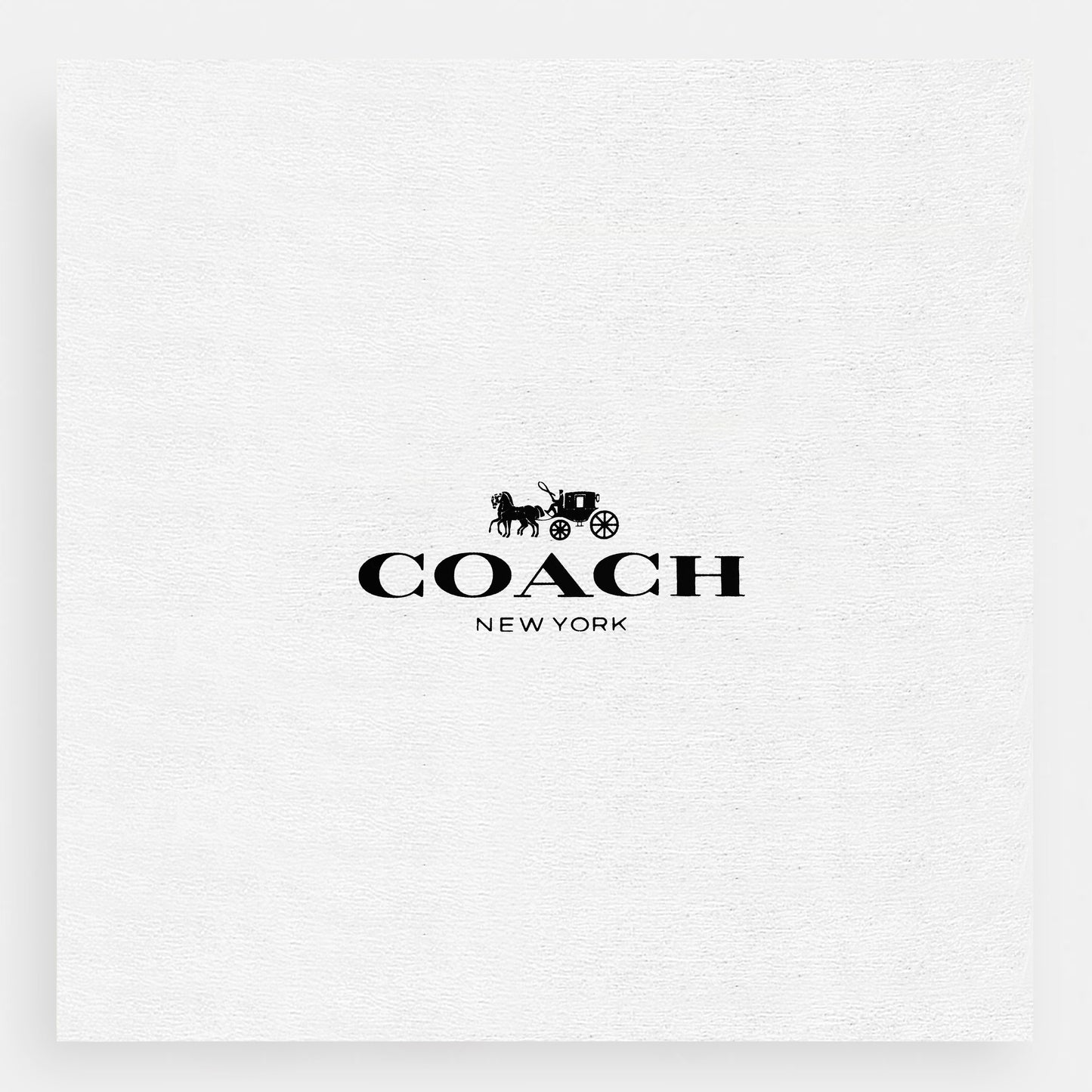 Madison Grace Shoulder & Sling Bag – Coach Inspired