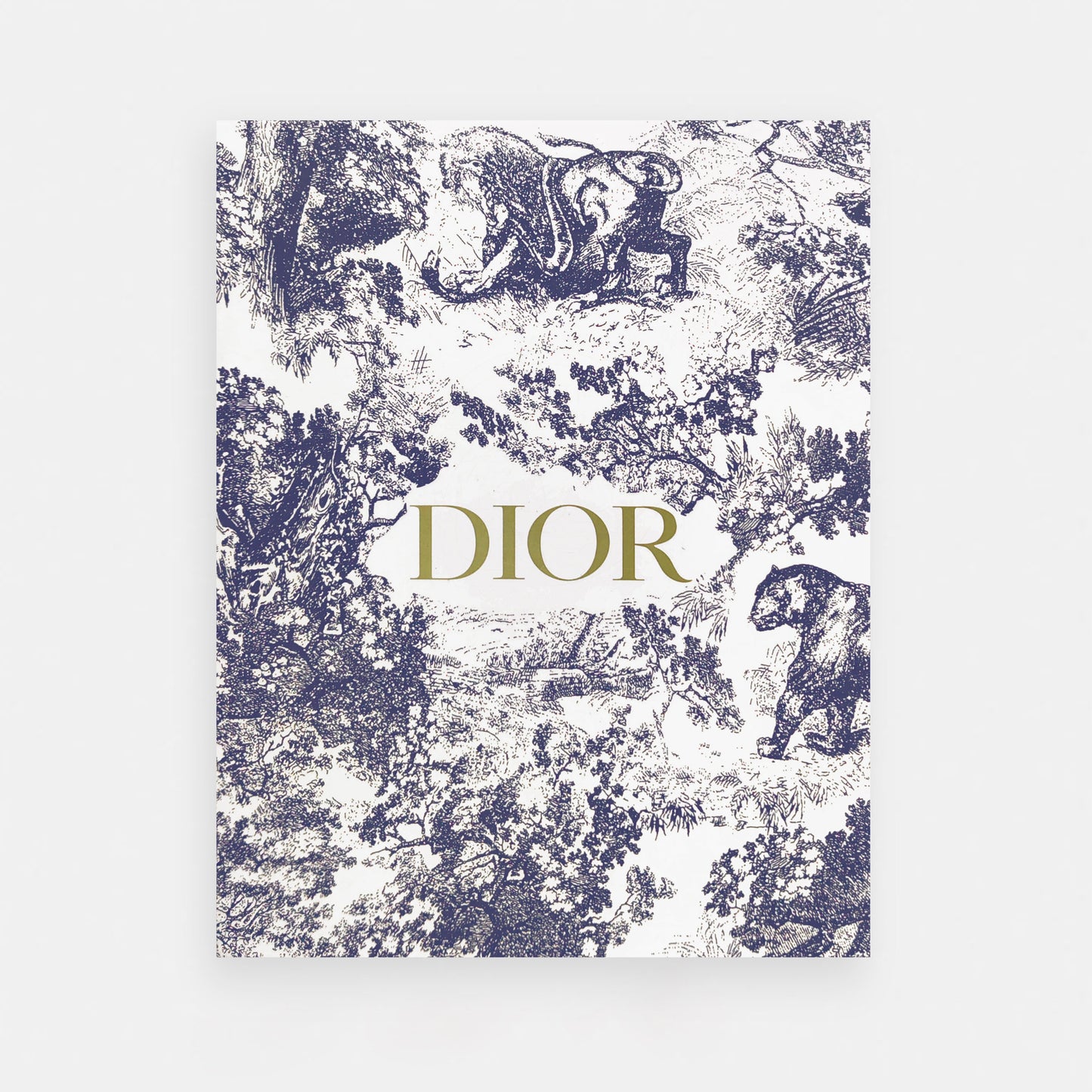 Dior inspired Saddle Bag