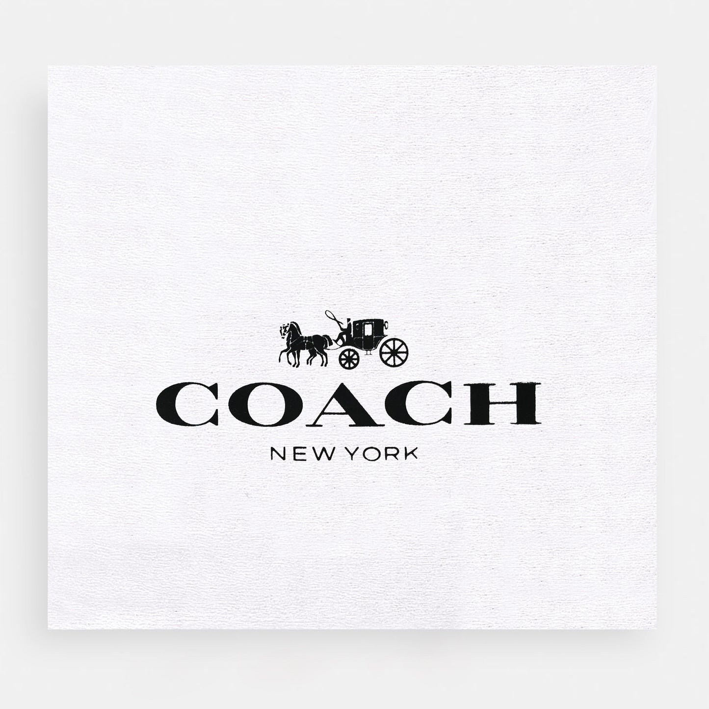 Coach-Inspired Mini handBag
