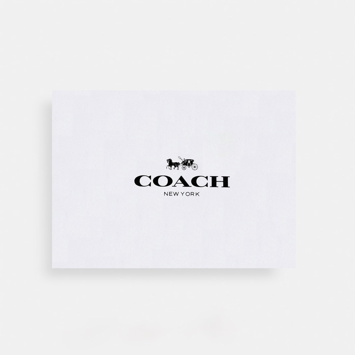 Coach hand & sling