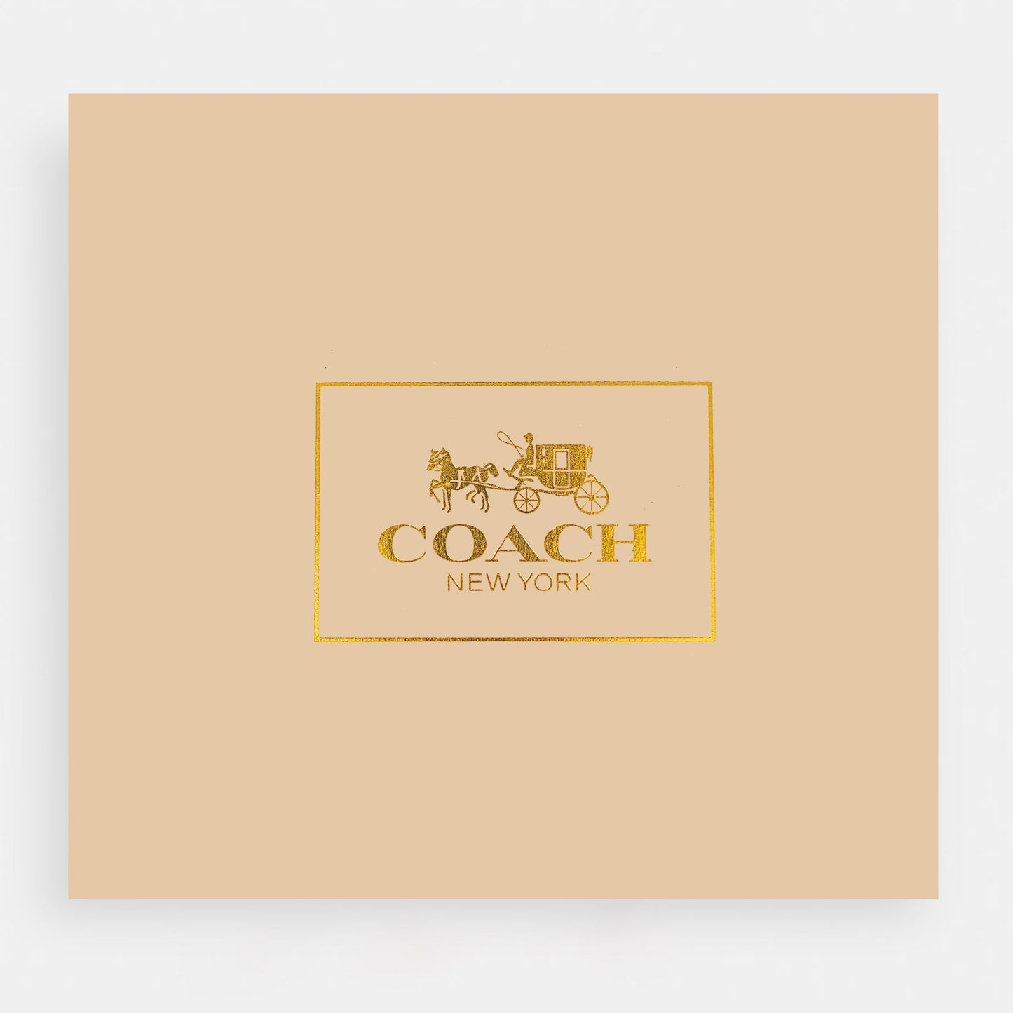 Coach-Inspired Mini handBag