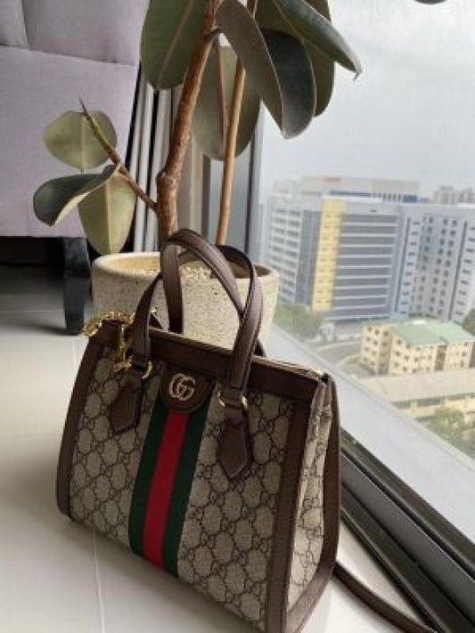 Gucci_ gg_ophidia_totebag_with double box